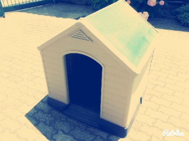 Frassineto Po Gaietta B&B 외부 사진